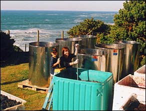 wine by the sea