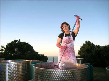 deb at the flying dutchman winery
