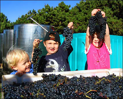 grandchildren with grapes
